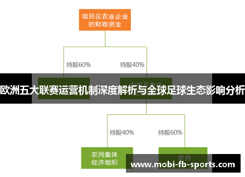 欧洲五大联赛运营机制深度解析与全球足球生态影响分析