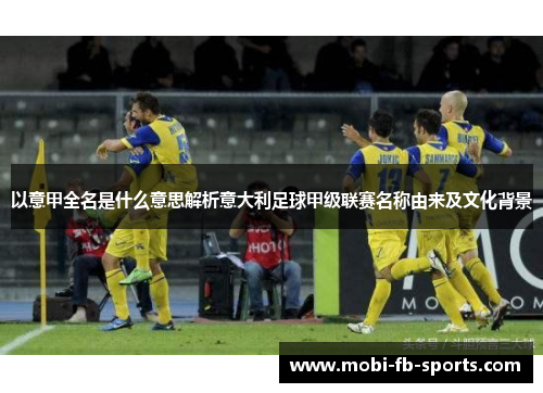以意甲全名是什么意思解析意大利足球甲级联赛名称由来及文化背景