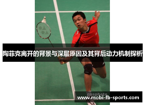 陶菲克离开的背景与深层原因及其背后动力机制探析