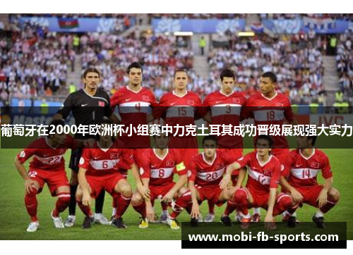 葡萄牙在2000年欧洲杯小组赛中力克土耳其成功晋级展现强大实力