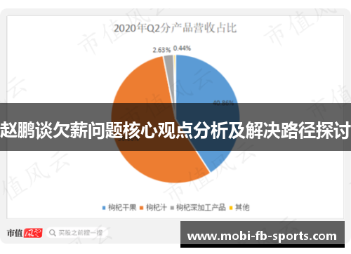 赵鹏谈欠薪问题核心观点分析及解决路径探讨