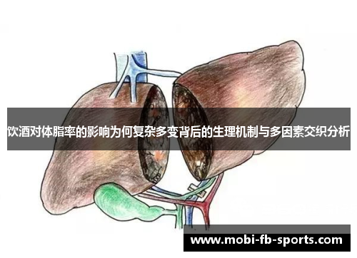 饮酒对体脂率的影响为何复杂多变背后的生理机制与多因素交织分析