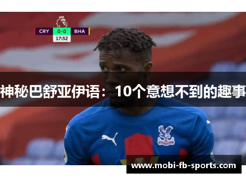 神秘巴舒亚伊语：10个意想不到的趣事