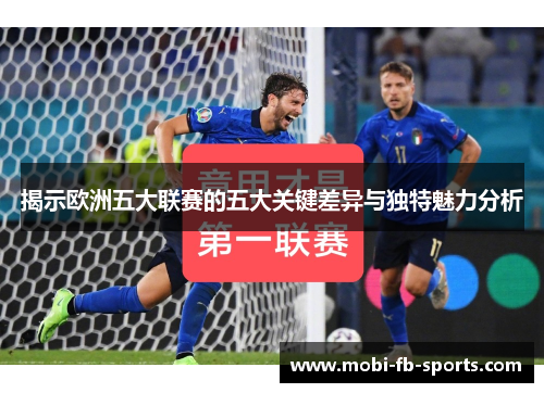 揭示欧洲五大联赛的五大关键差异与独特魅力分析