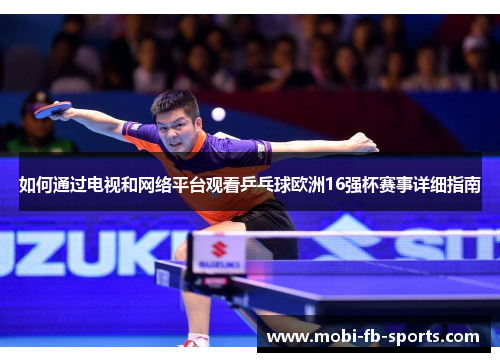 如何通过电视和网络平台观看乒乓球欧洲16强杯赛事详细指南