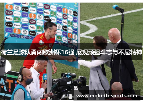 荷兰足球队勇闯欧洲杯16强 展现顽强斗志与不屈精神