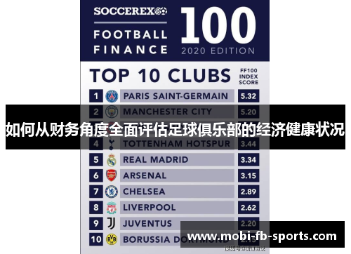 如何从财务角度全面评估足球俱乐部的经济健康状况