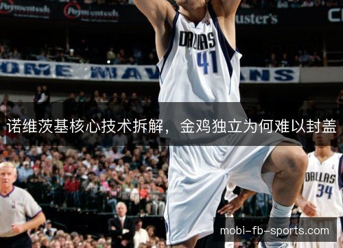 诺维茨基核心技术拆解，金鸡独立为何难以封盖
